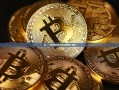 裘——历史的织锦与现代的风尚-裘德